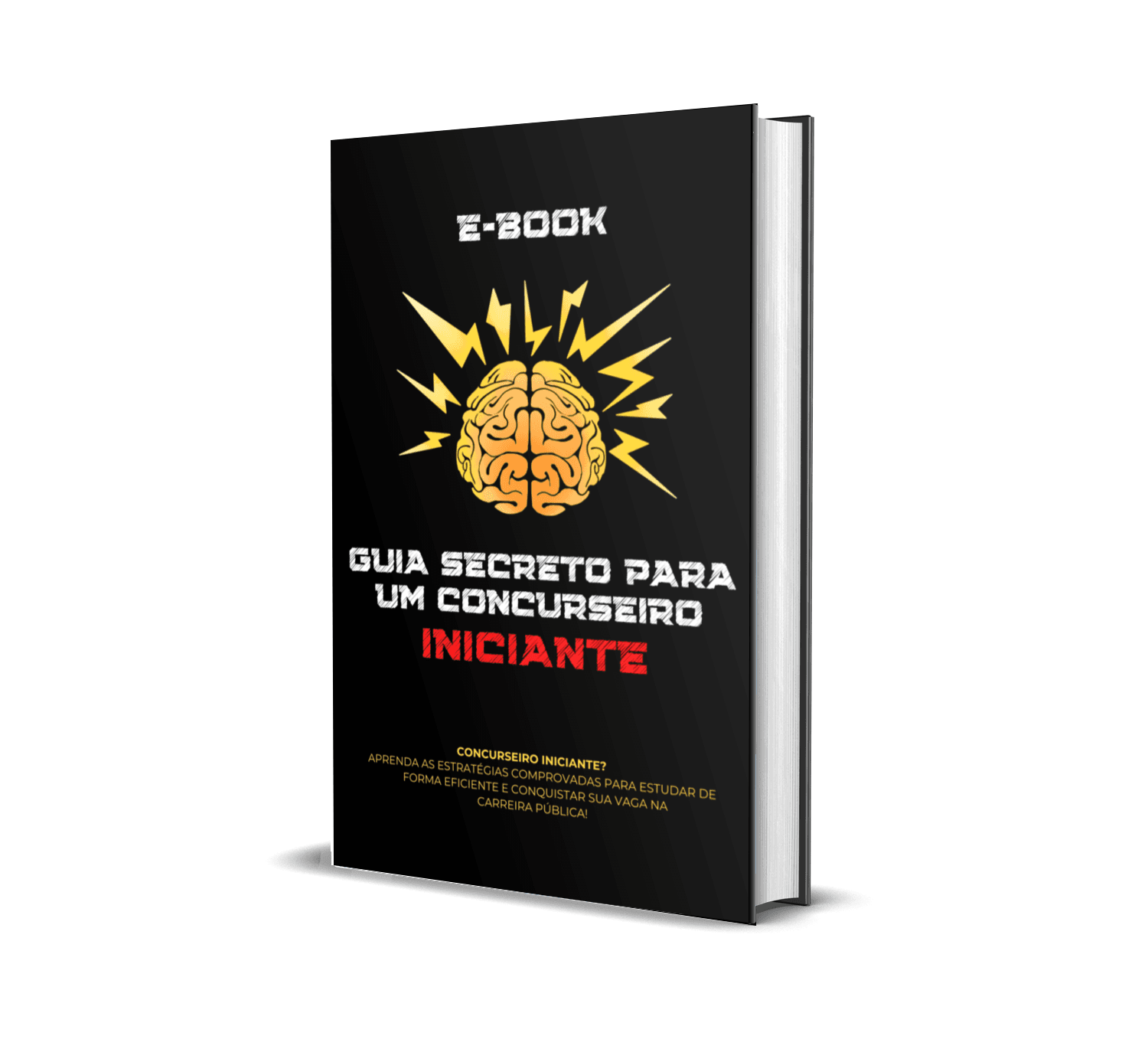 Guia Secreto para um Concurseiro Iniciante