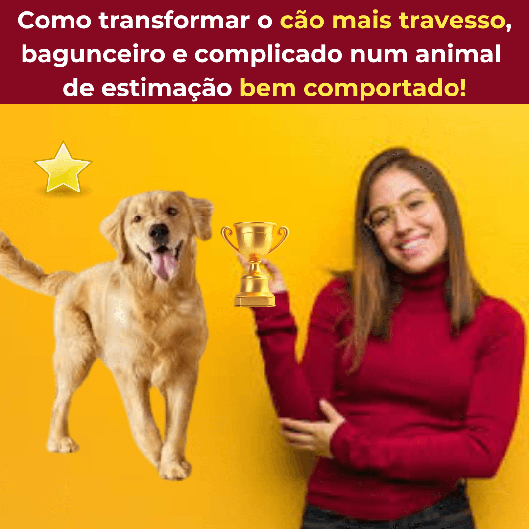 Adestramento Canino em Casa +4 Bônus