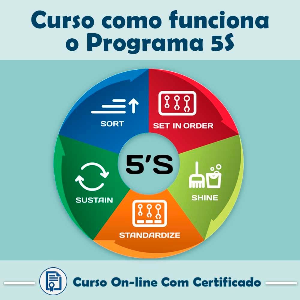 Curso Sobre como funciona o Programa 5S