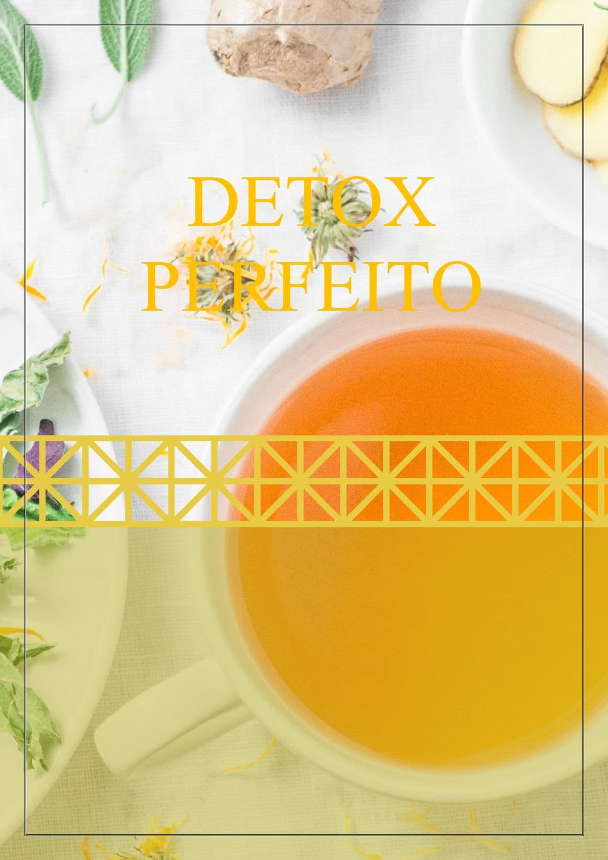 E-book Detox Perfeito