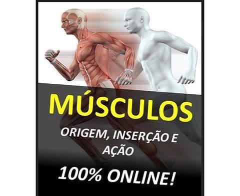 TABELA DE MÚSCULOS ORIGEM E INSERÇÃO