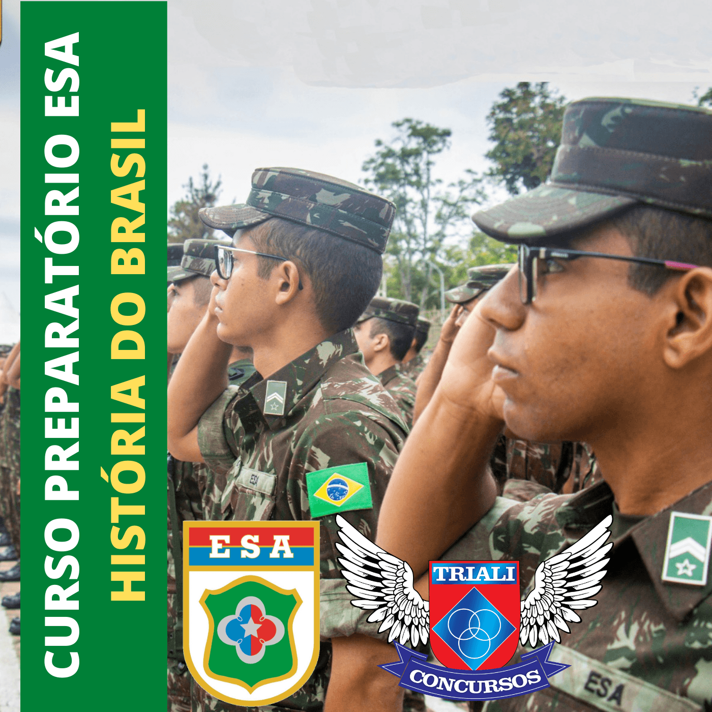 Curso de História Brasil para ESA