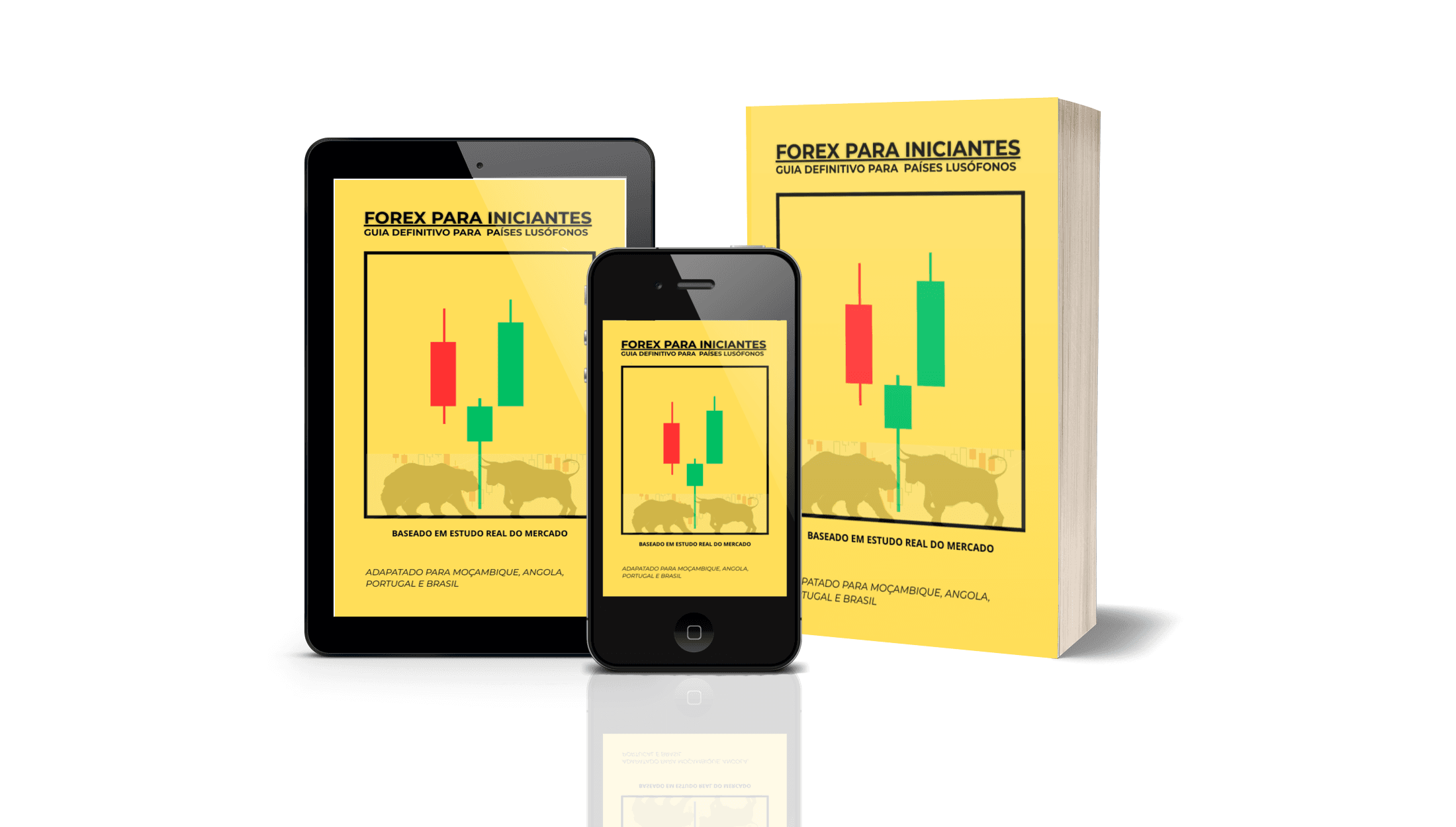 FOREX PARA INICIANTES E GUIA DE 16 AULAS