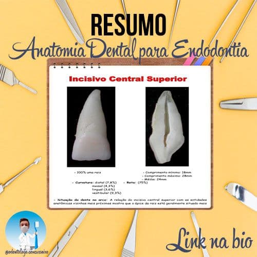 Resumão - Anatomia Dental - Endodontia