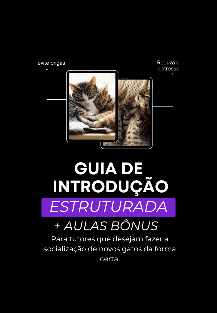 Guia de Introdução Estruturada + aulas bônus