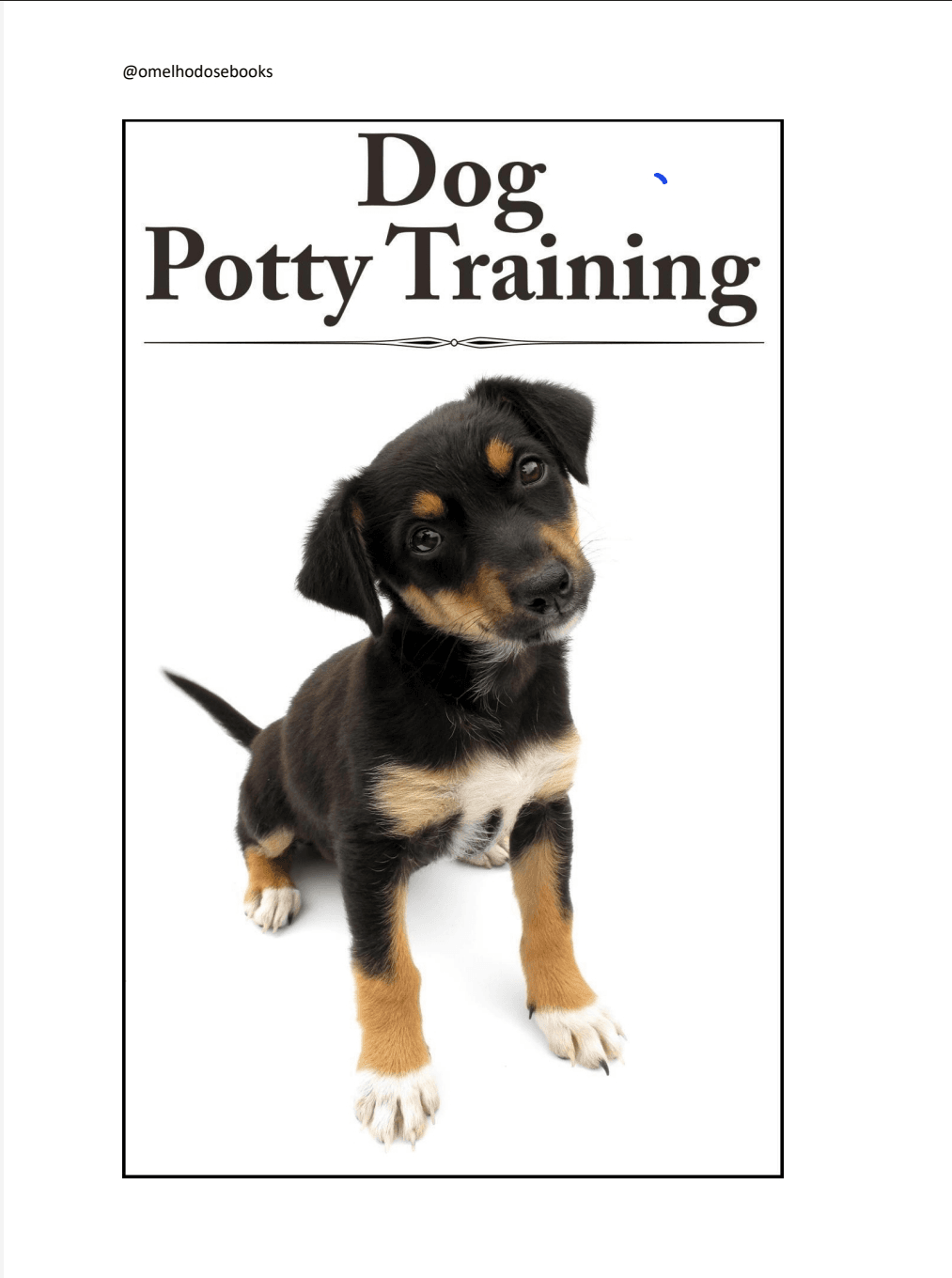 Dog Potty Training! Como Treinar seu Pet com as Necessidades Diárias