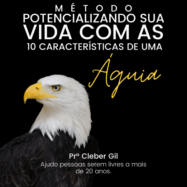 POTENCIALIZANDO SUA VIDA COM AS 10 CARACTERÍSTICAS DE UMA ÁGUIA