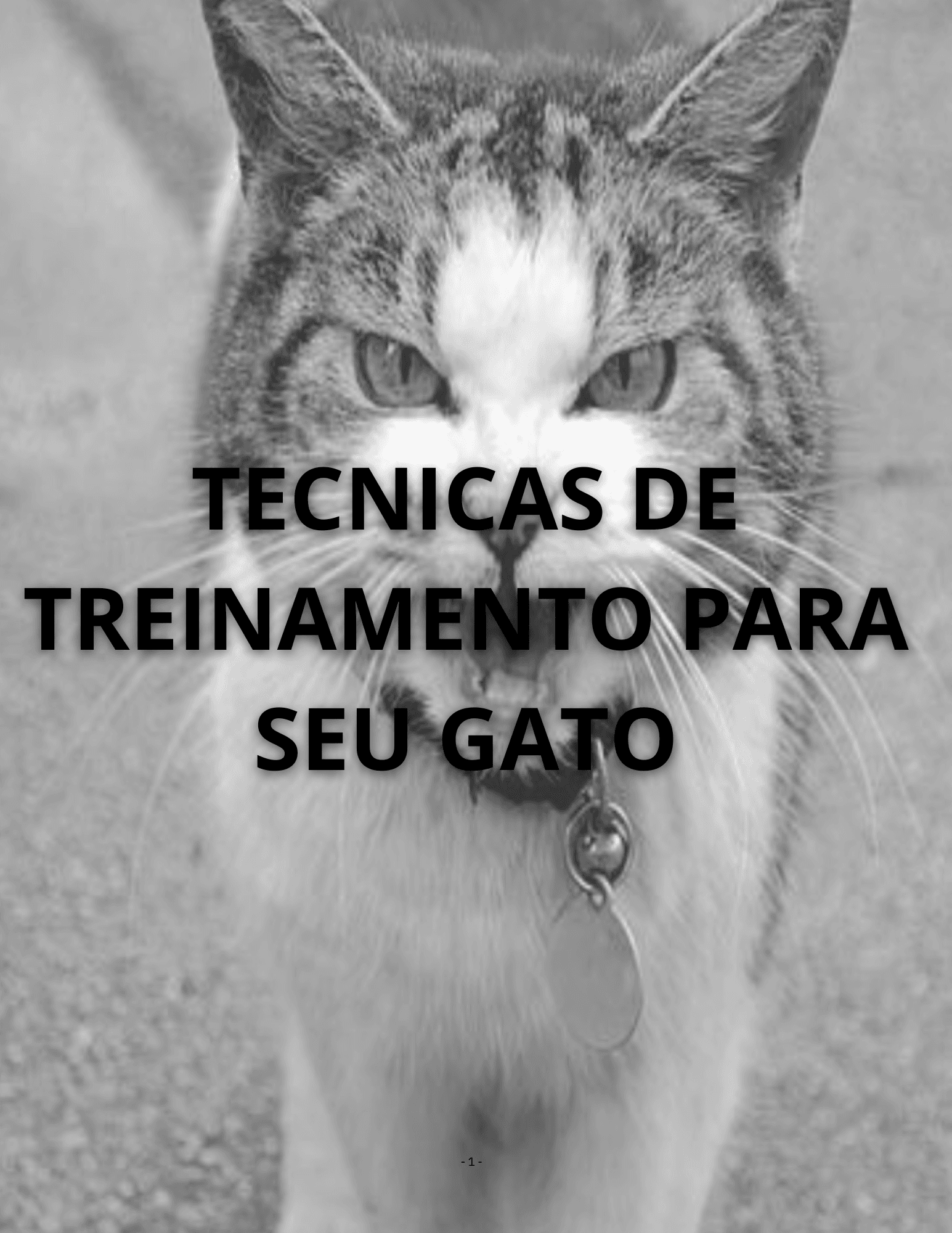 TECNICAS DE TREINAMENTO PARA SEU GATO
