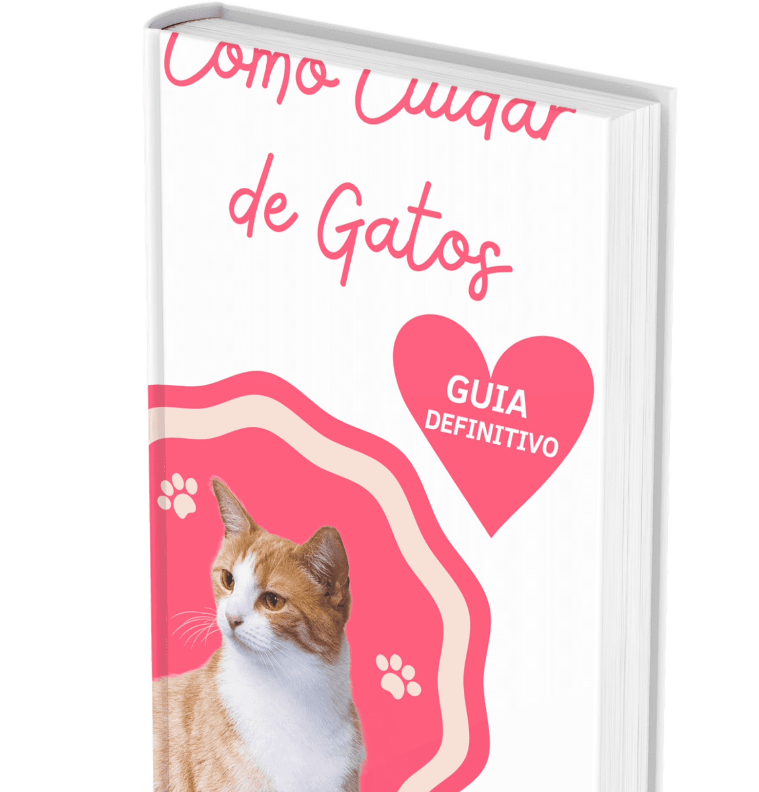 COMO CUIDAR DE GATOS: GUIA DEFINITIVO