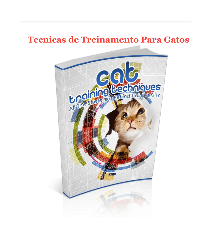 Tecnicas de Treinamento Para Gatos
