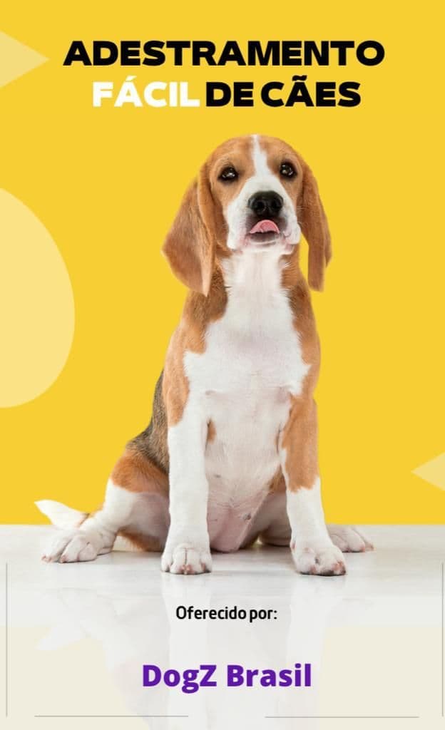 Adestramento de cães DogZ Brasil