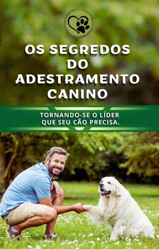 OS SEGREDOS DO ADESTRAMENTO CANINO: TORNANDO-SE O LÍDER QUE SEU CÃO PRECISA.