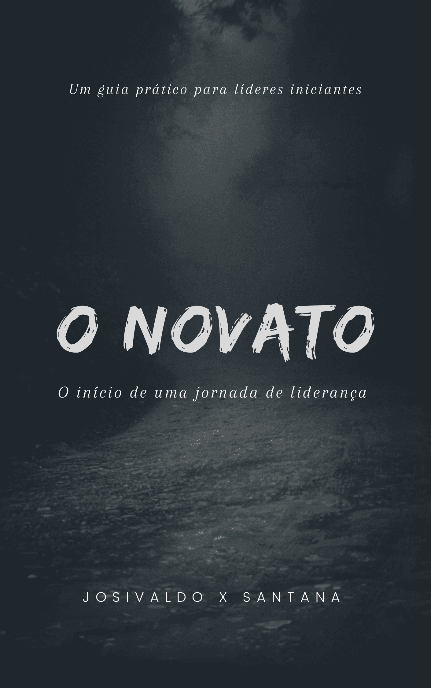 O NOVATO - O início de uma jornada de liderança