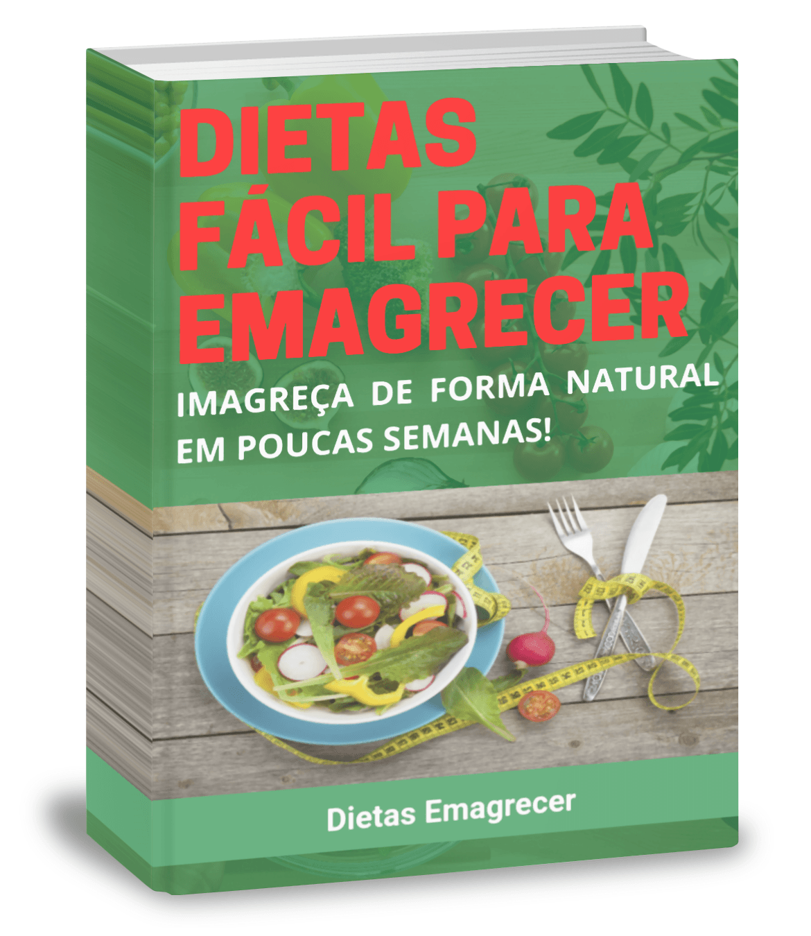 Dietas fácil para emagrecer