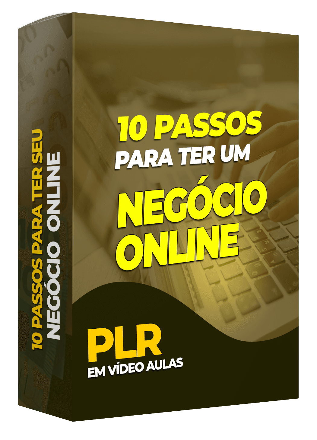 Negócio Online de Sucesso: Os 10 Passos Essenciais
