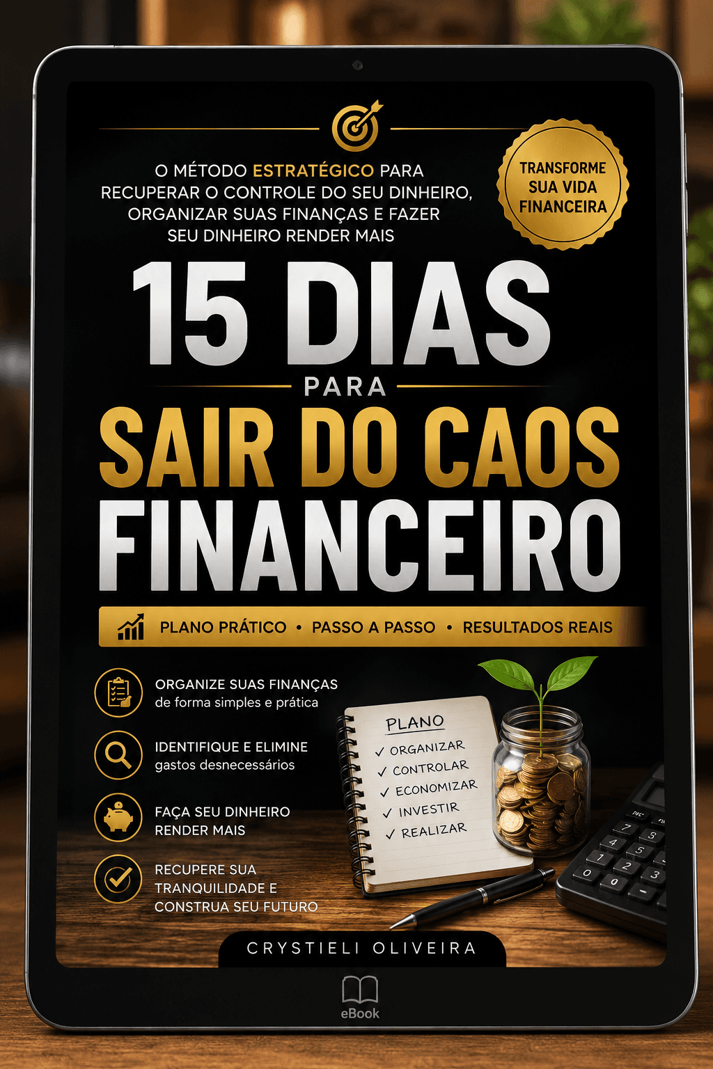 Organize sua finanças