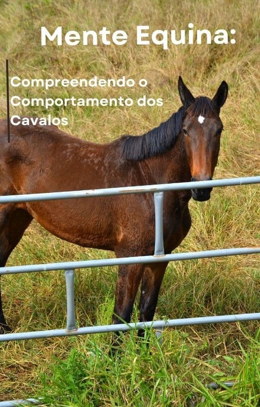 Mente equina: entendendo o comportamento dos cavalos na relação com o ser humano