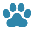 Estrelas Animais | Mentoria – com Luis Estrelas