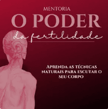 Mentoria individual 6 meses + Grupo e suporte