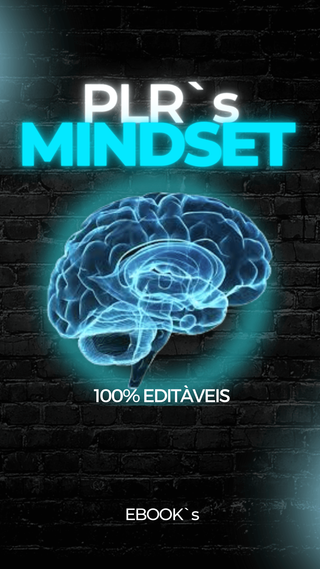 Mindset PLR Milionário