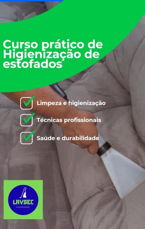 Curso prático de higienizacão em estofados