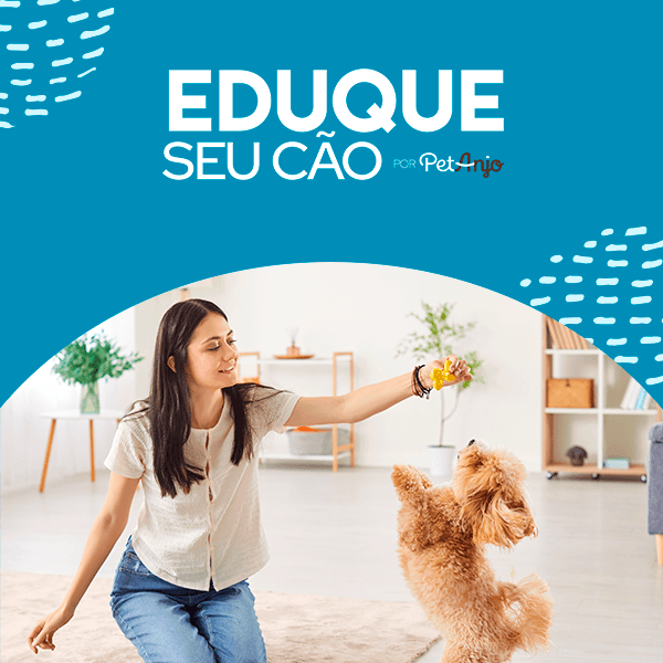 Curso Eduque seu Cão - Completo