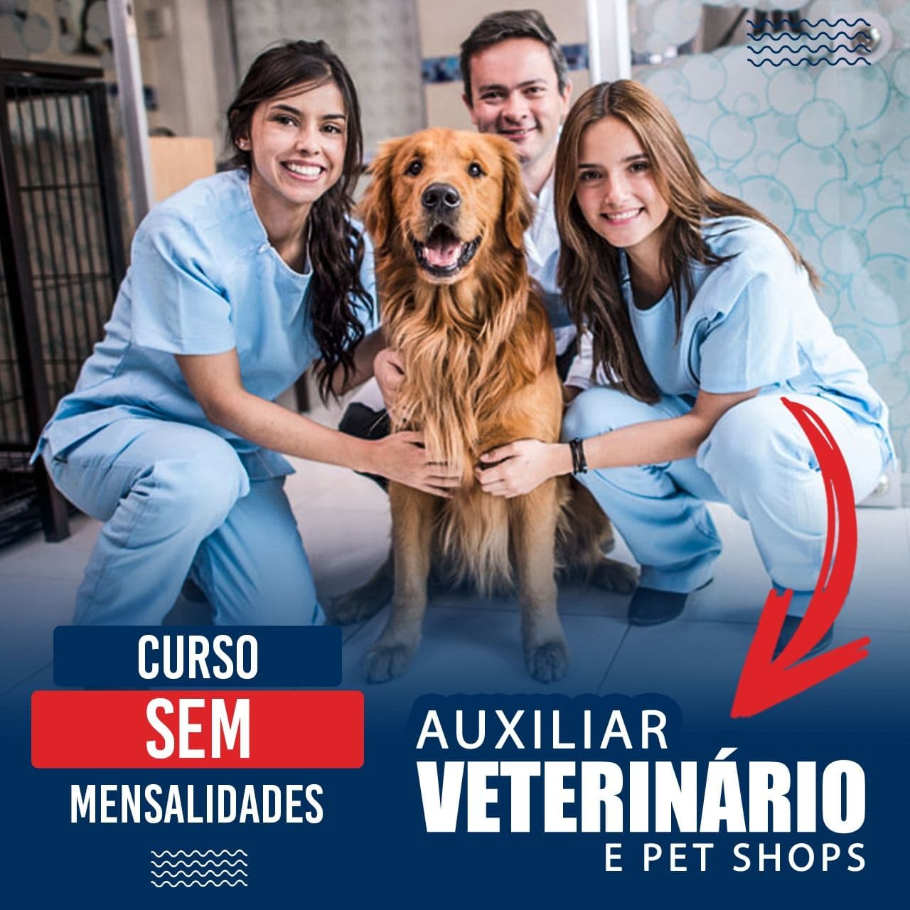 Auxiliar Veterinário e Pet Shop