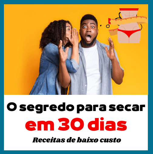 O segredo para secar em 30 dias Receitas de baixo custo Vol 1