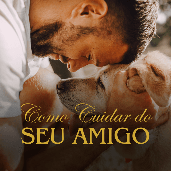 Como Cuidar do Seu Amigo