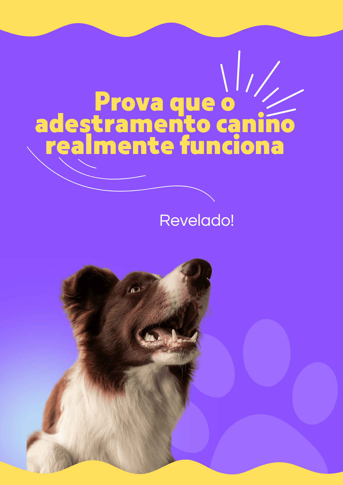 Prova que o adestramento canino realmente funciona