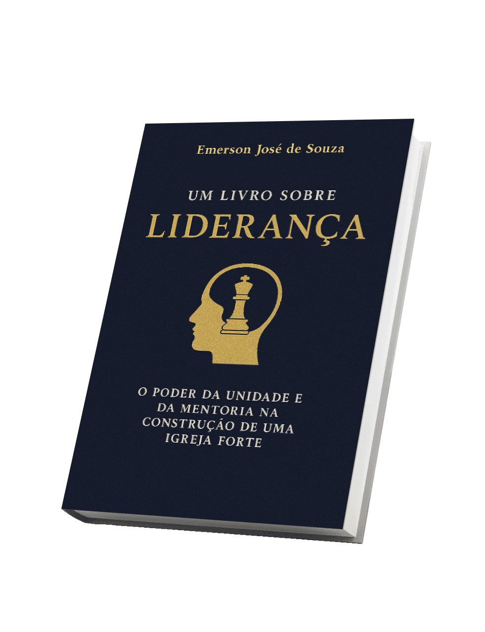 UM LIVRO SOBRE LIDERANÇA O Poder da Unidade e Mentoria na Construção de uma Igreja Forte