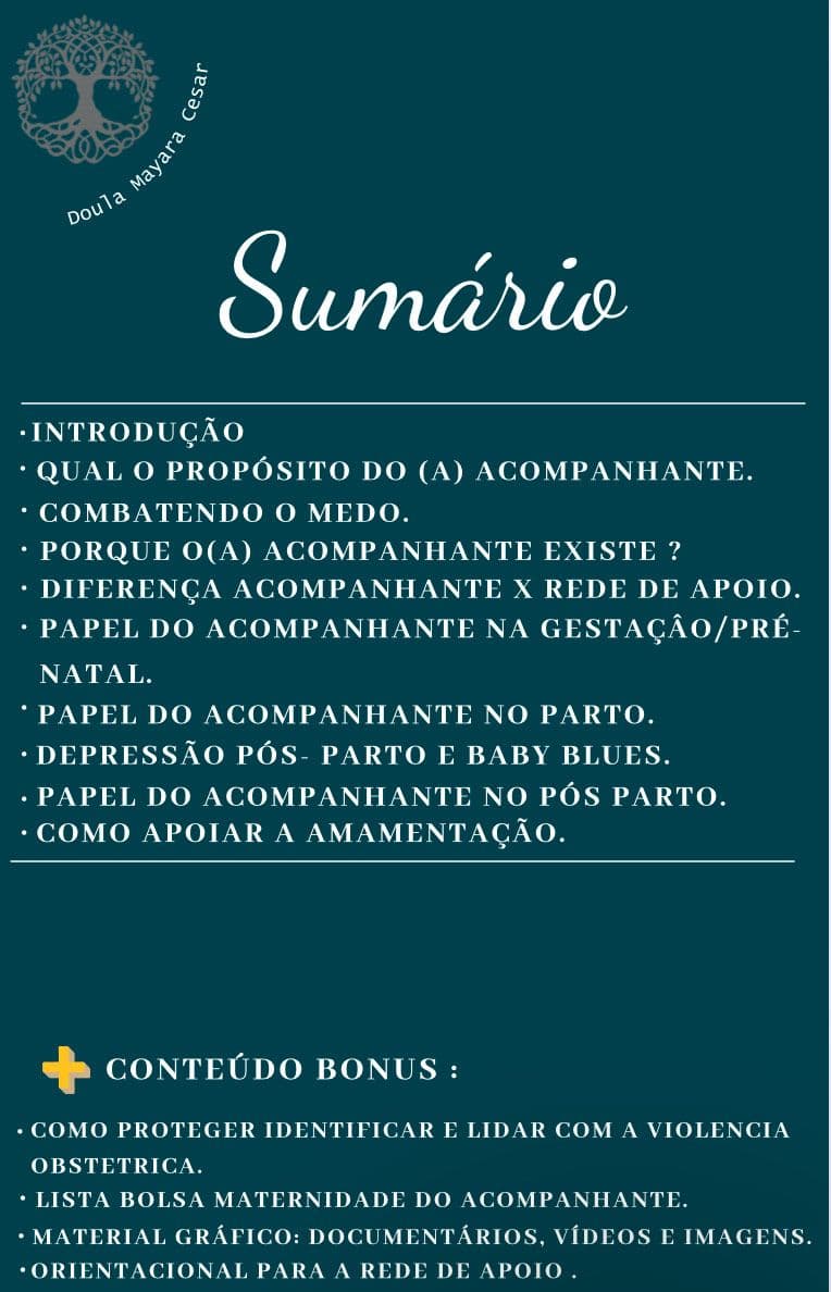 Guia Prático do Acompanhante: Um Manual Completo para Acompanhante Gestacional