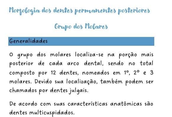 Resumo Anatomia Dental - dentes posteriores