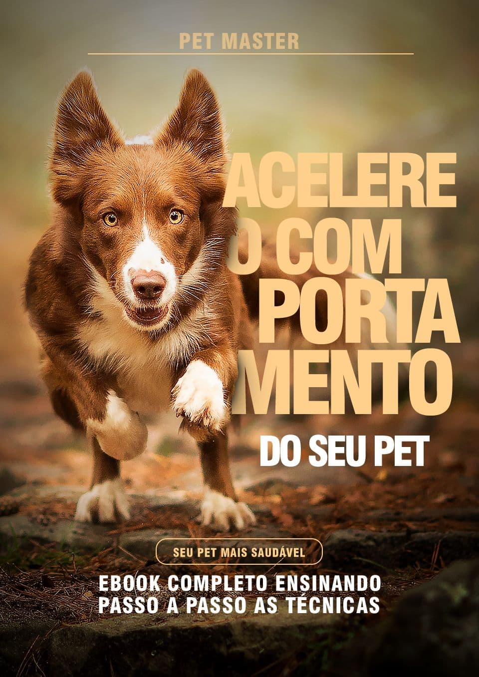 Mundo Pets