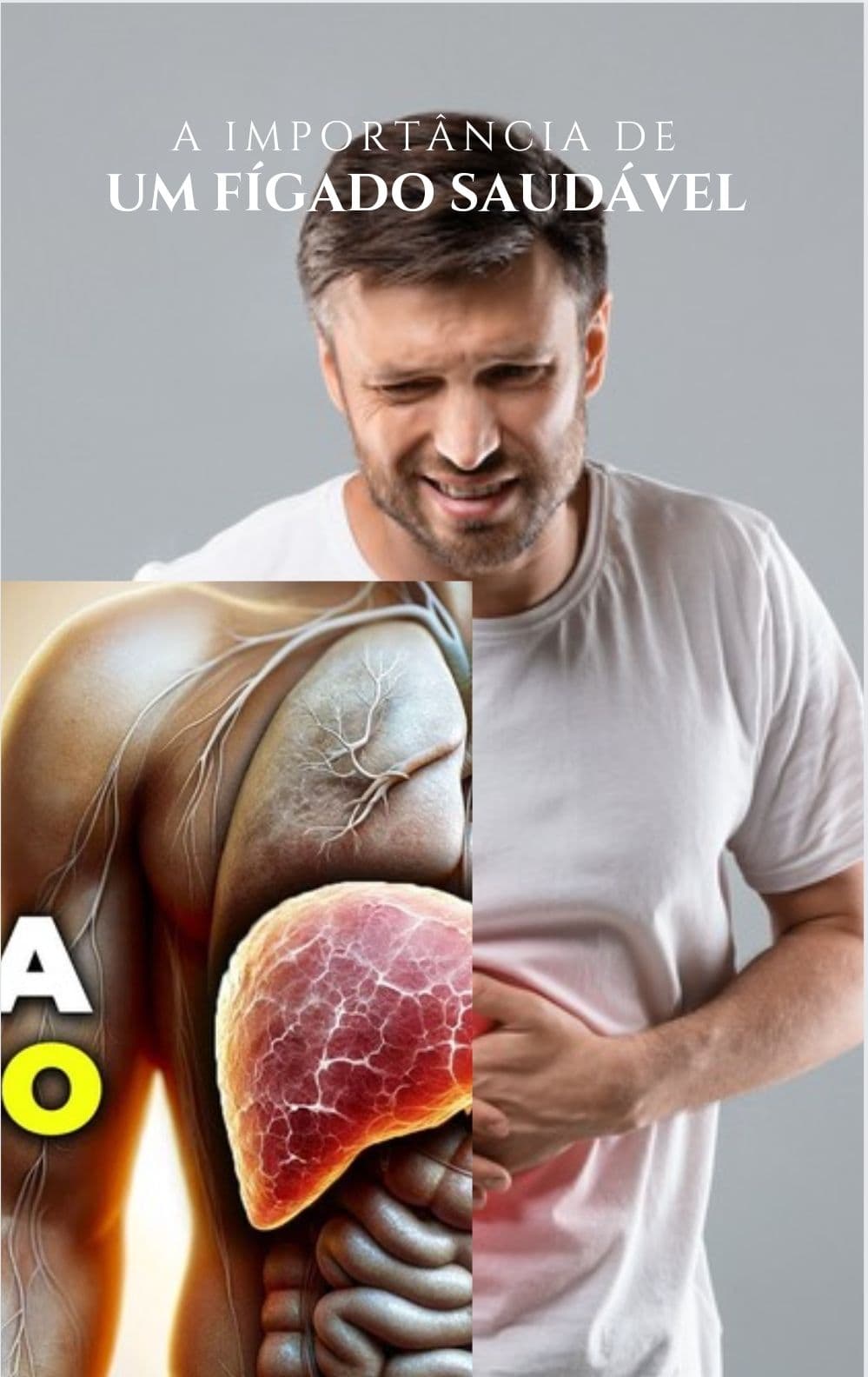 A importância de um fígado saudável
