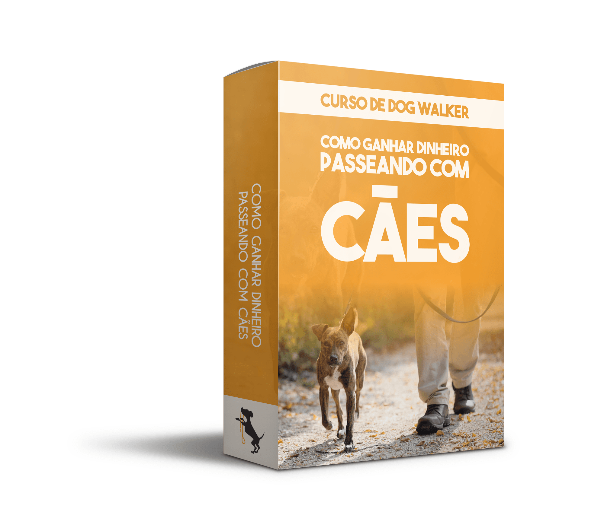 Curso de Dog Walker Profissional