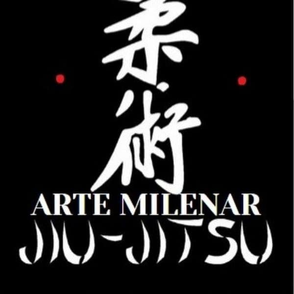 Curso de Inglês com Jiu-Jitsu Aprenda Técnicas de Luta e Aprenda Inglês para Jiujitsu