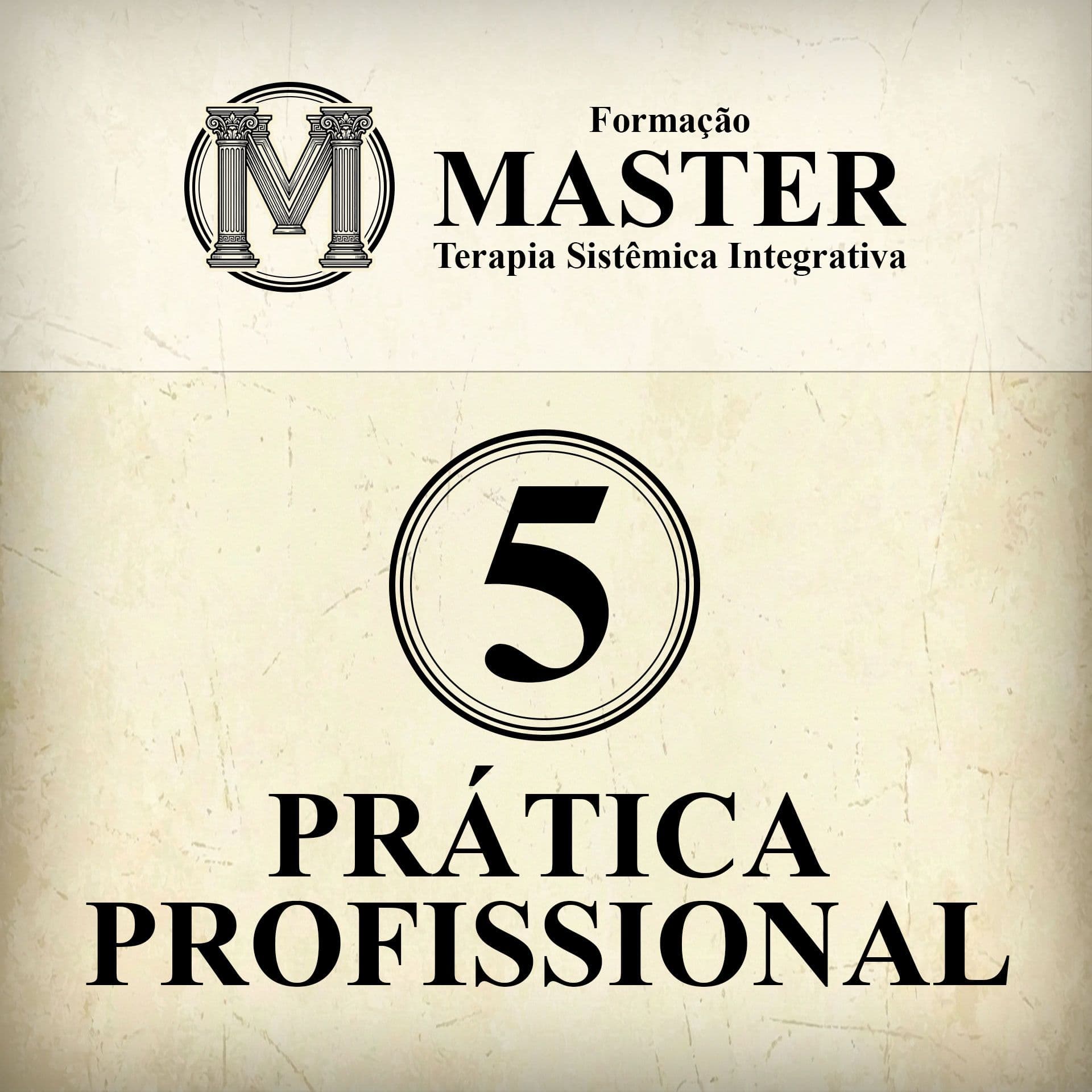 Formação Master Módulo 5 - Prática Profissional