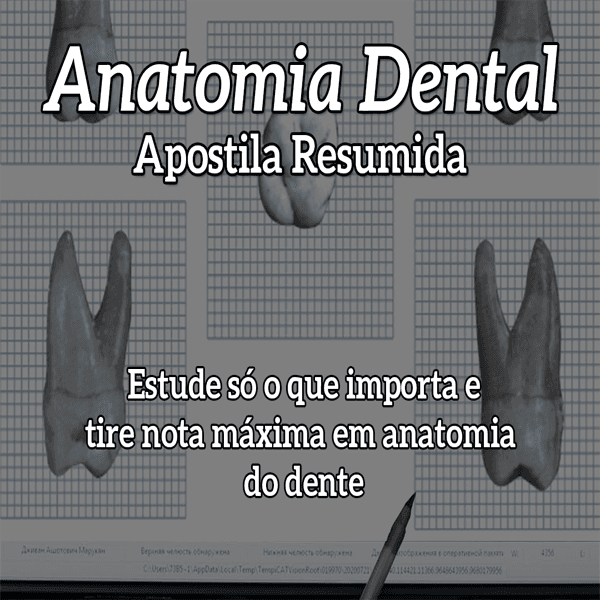 Anatomia Dental - Apostila Resumida - Estude Só o Que Importa e Tire Nota Máxima em Anatomia do Dente