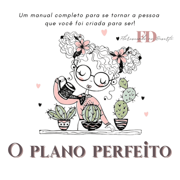 O Plano Perfeito