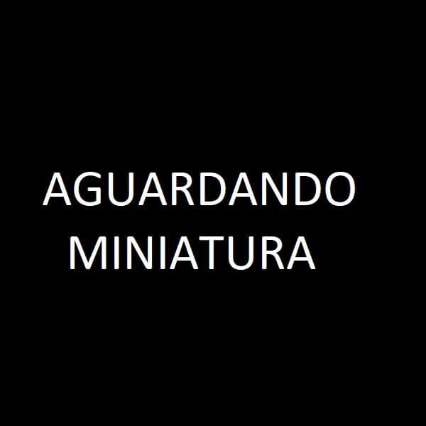 MENTORIA DIREITO PREVIDENCIÁRIO - BIAZZOTO