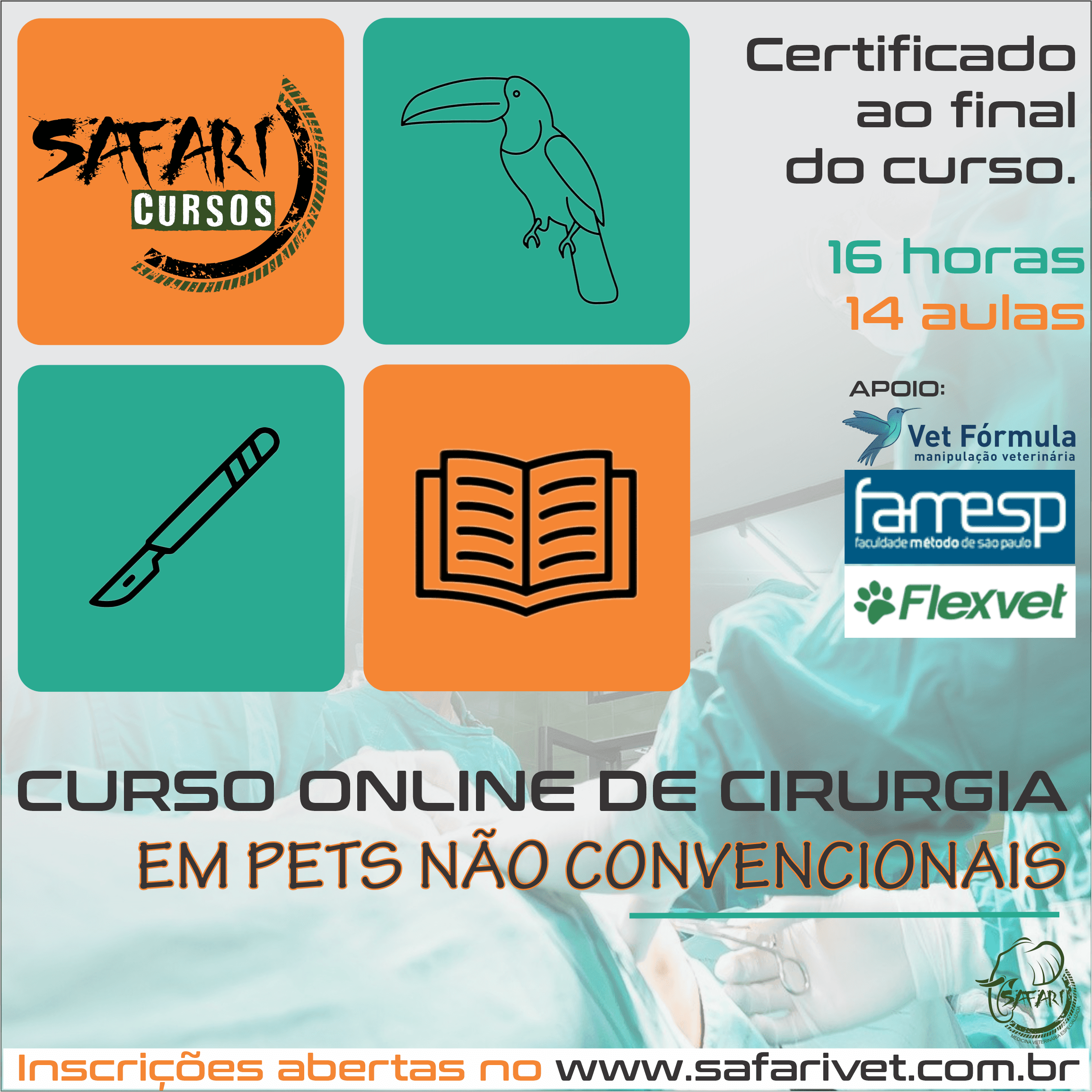 Curso Online de Cirurgia em Pets Não Convencionais