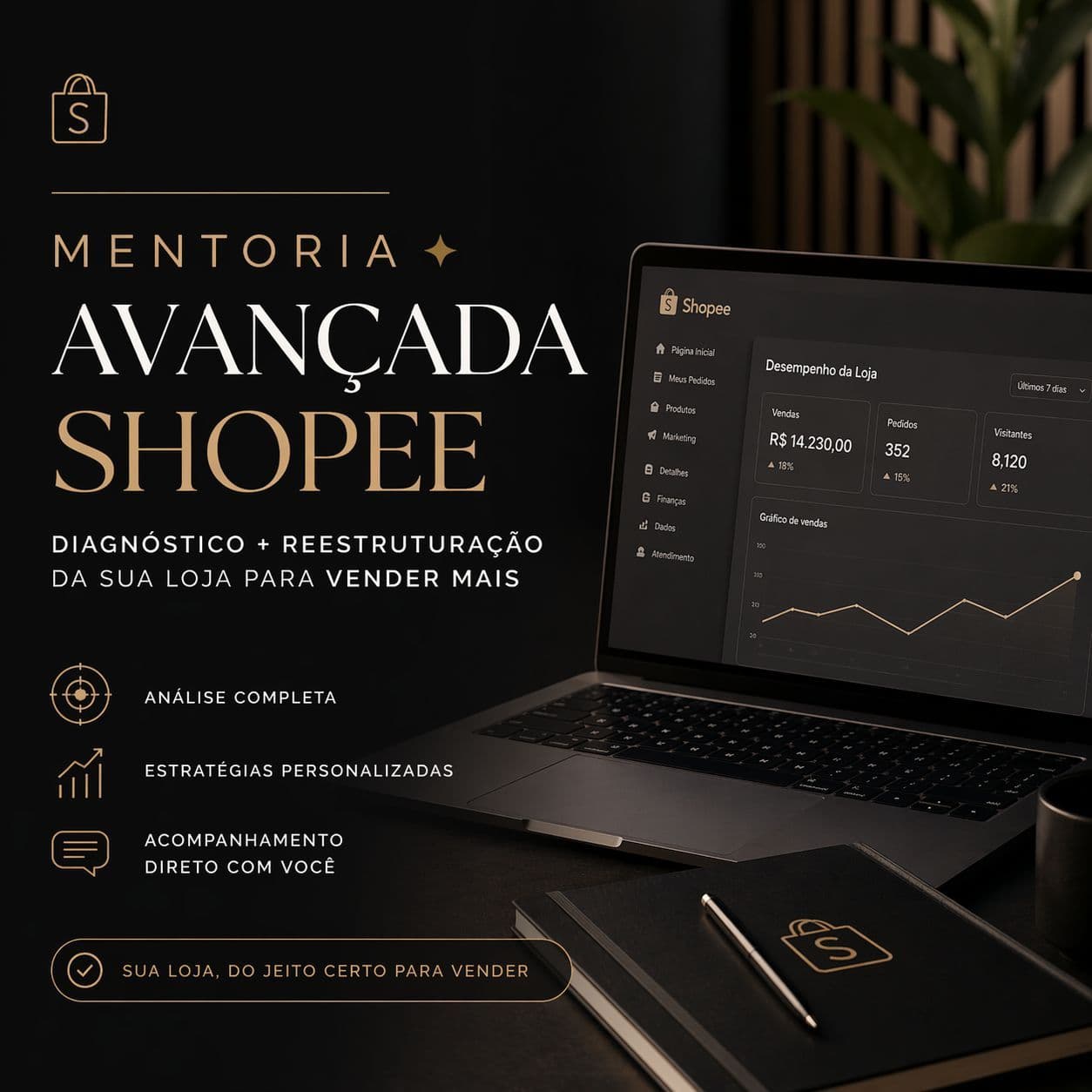 Mentoria Avançada Shopee - Diagnóstico + Reestruturação da Sua Loja para Vender Mais