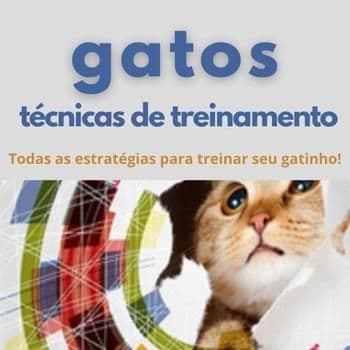 Tecnicas de Treinamento Para Gatos
