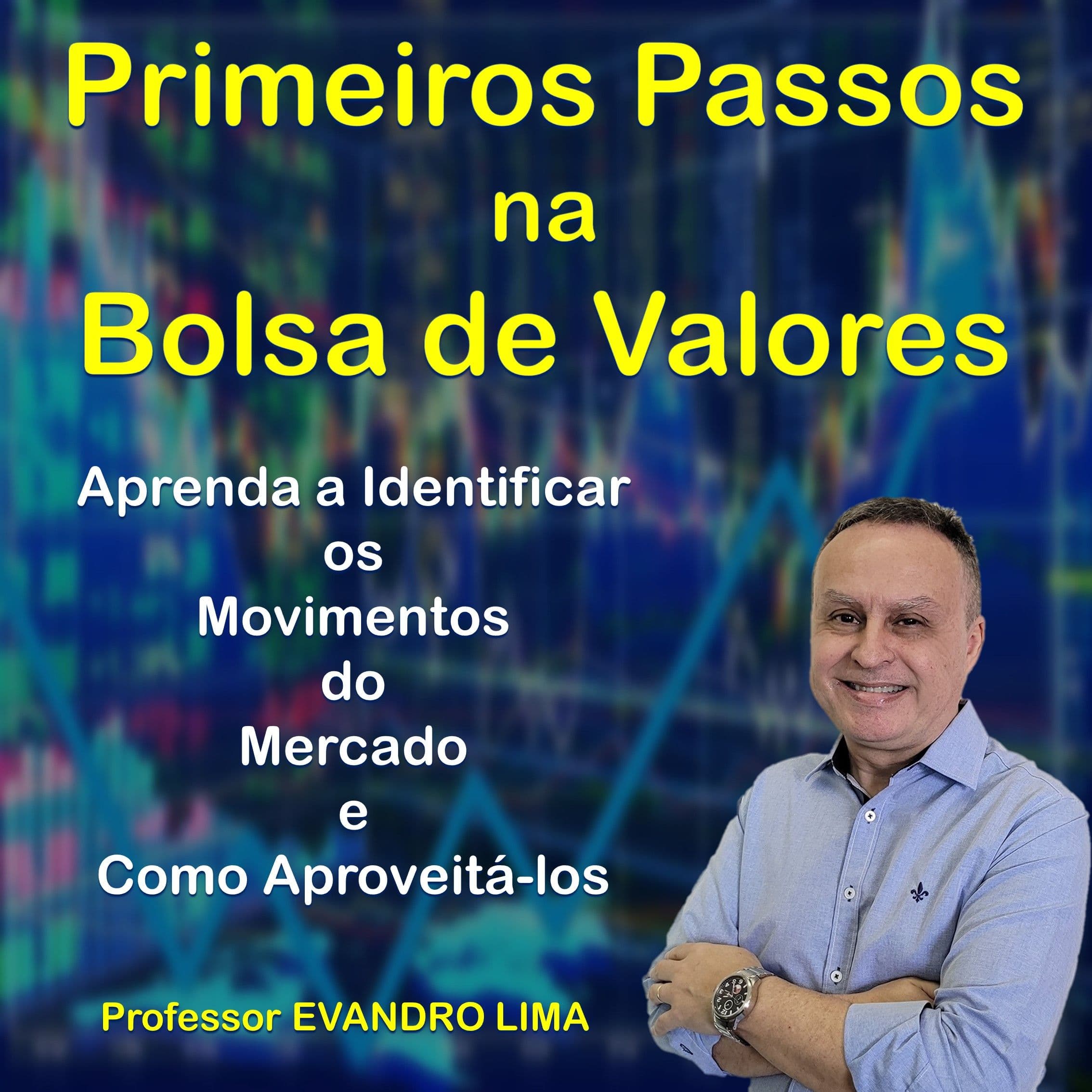 Primeiros Passos na Bolsa de Valores - Aprenda a Analisar os Movimentos do Mercado e Como Aproveitá-los