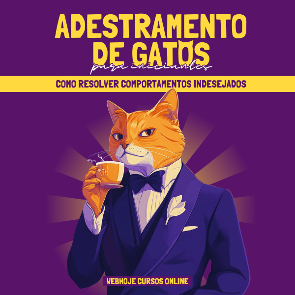 Adestramento de Gatos para Iniciantes: Como Resolver Comportamentos Indesejado