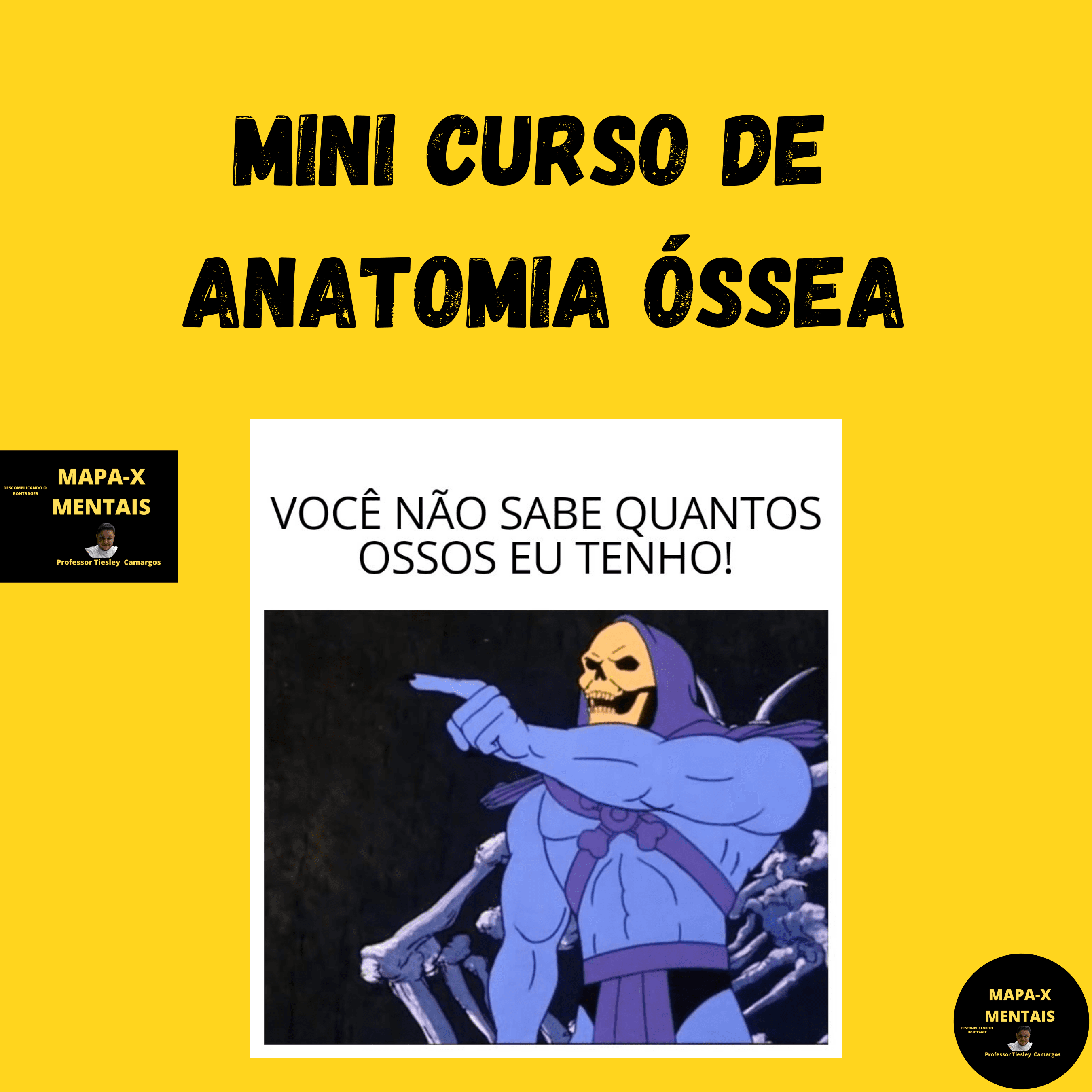 MINI CURSO DE ANATOMIA ÓSSEA