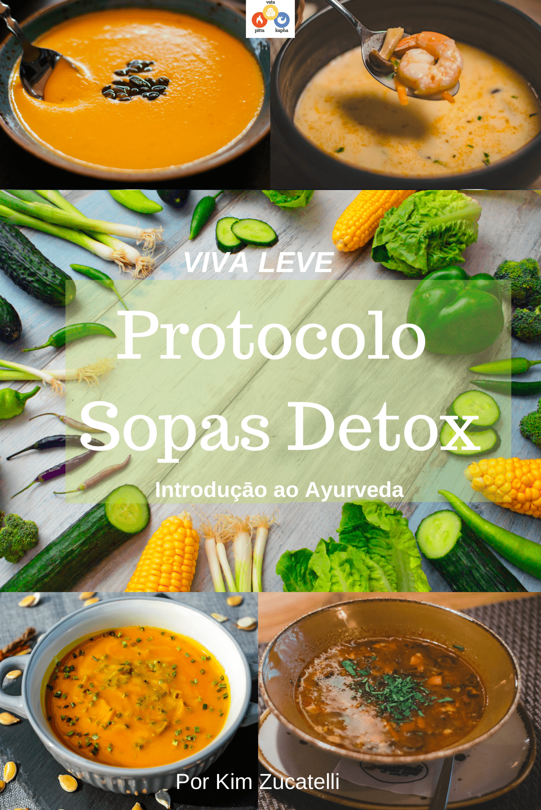 PROTOCOLO SOPAS DETOX