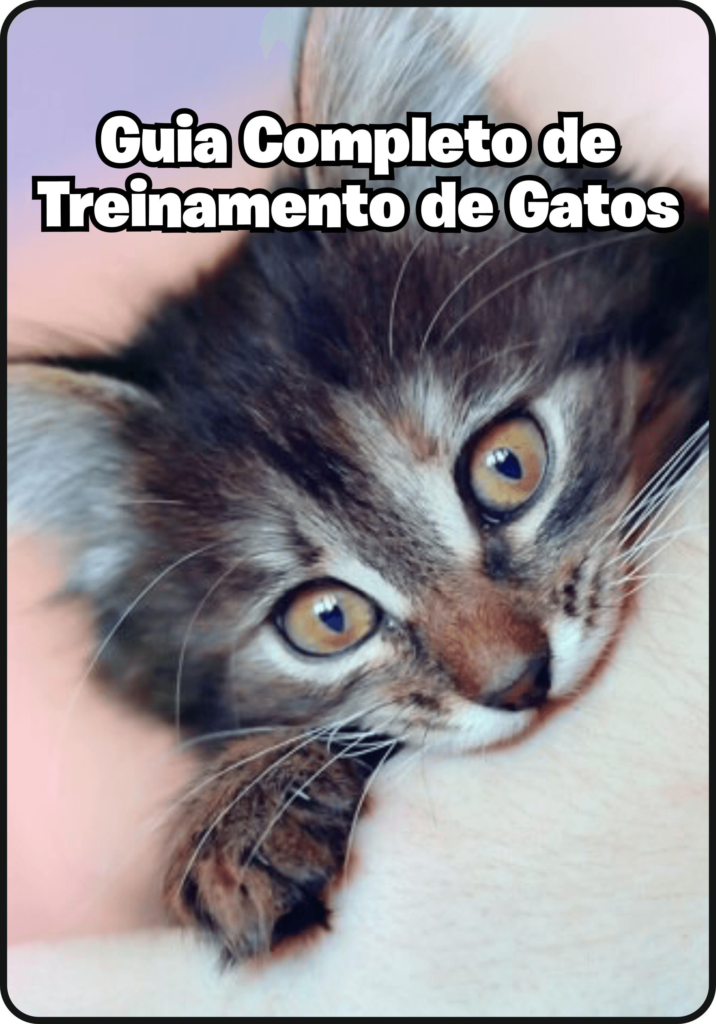Guia Completo de Treinamento de Gatos