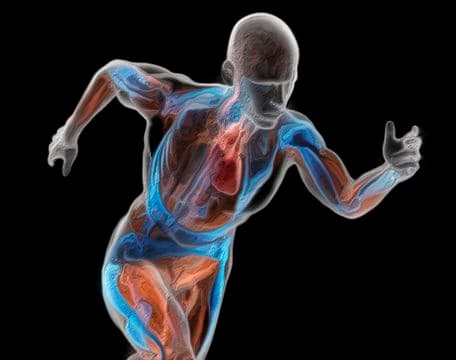 Fisiologia do Exercício